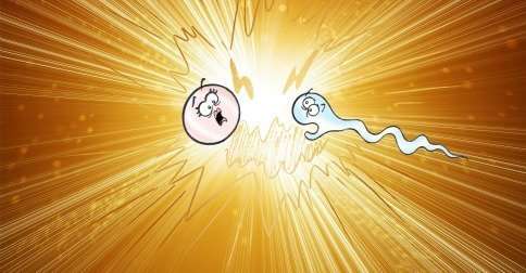Inseminacion-artificial-casera
