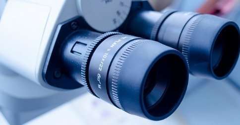 Seguridad biológica en el Laboratorio de Fecundación in vitro