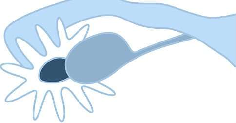 ¿Con el tratamiento de fertilidad pueden salir quistes?