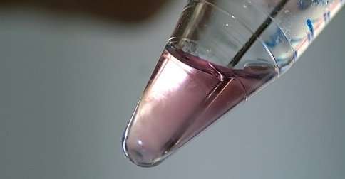 tu proceso inseminacion artificial