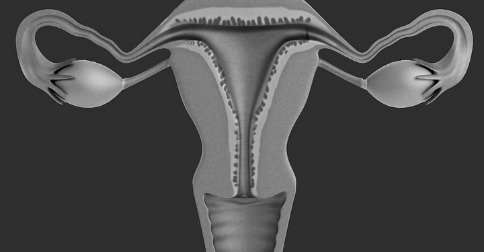 utero