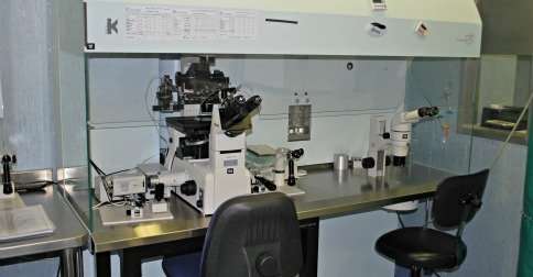 Control de calidad en el laboratorio de reproducción asistida
