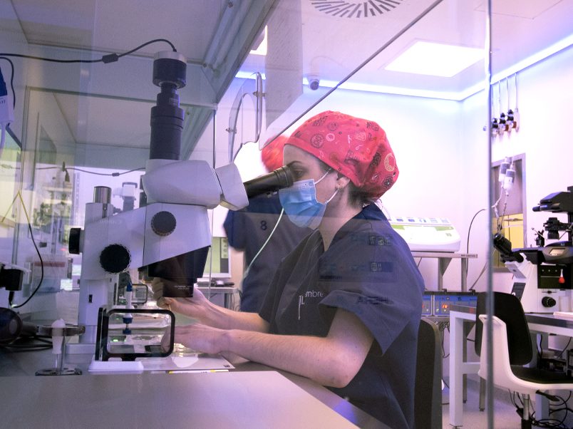 laboratorio fiv tambre