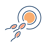 anomalias esperma