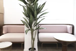 clinica-madrid-tambre-sala