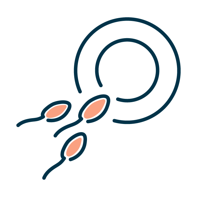 semen pareja