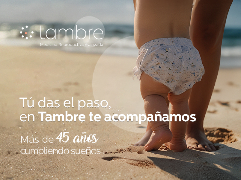 Tambre tratamiento de FIV en verano
